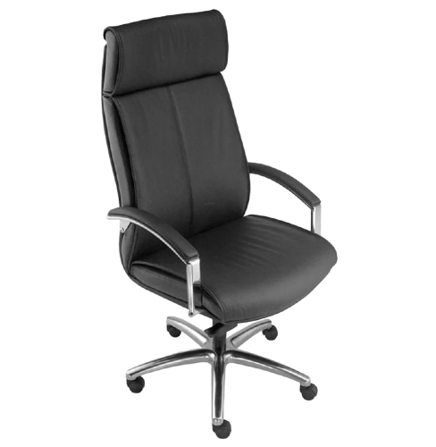 Director Chair